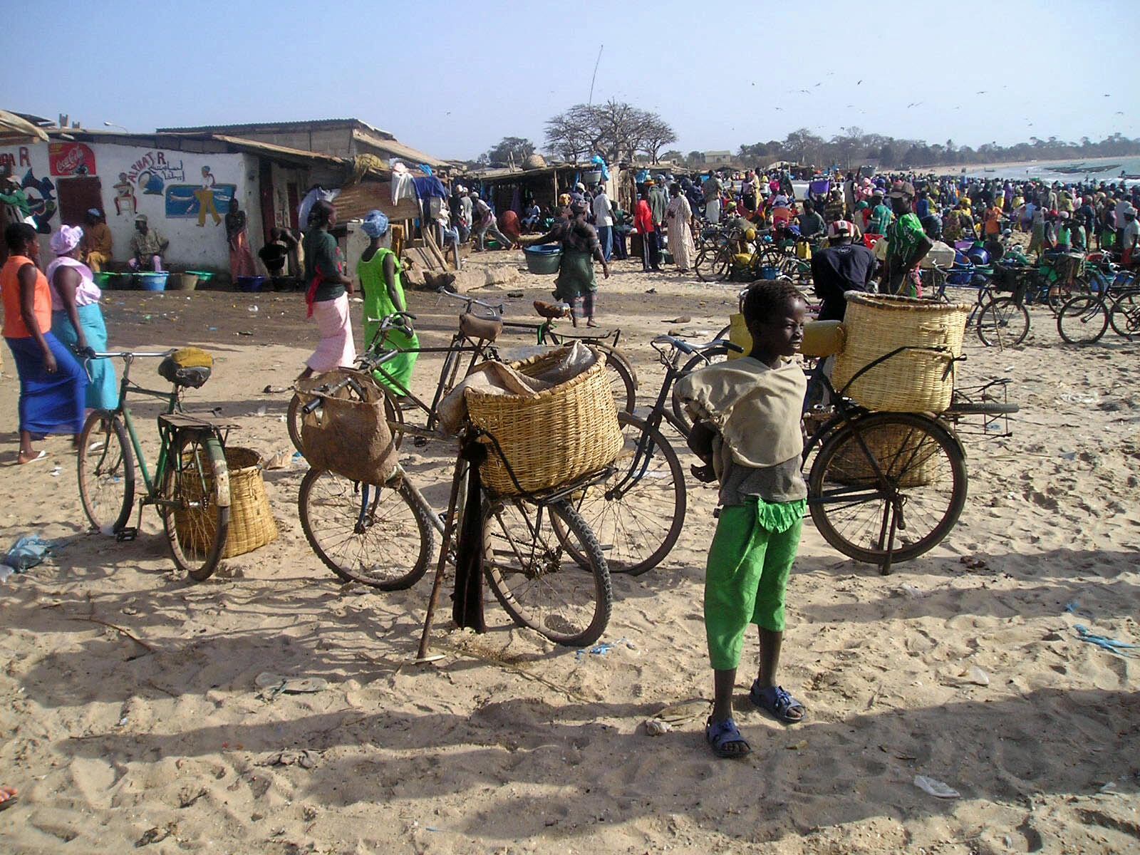 Gambia, fish market atthe beach