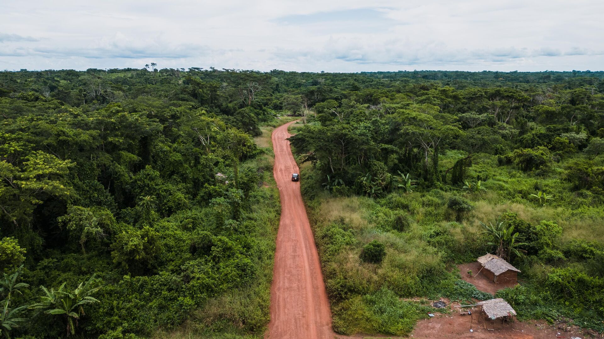 Ndoumnimbe, Cameroon, Rainforest