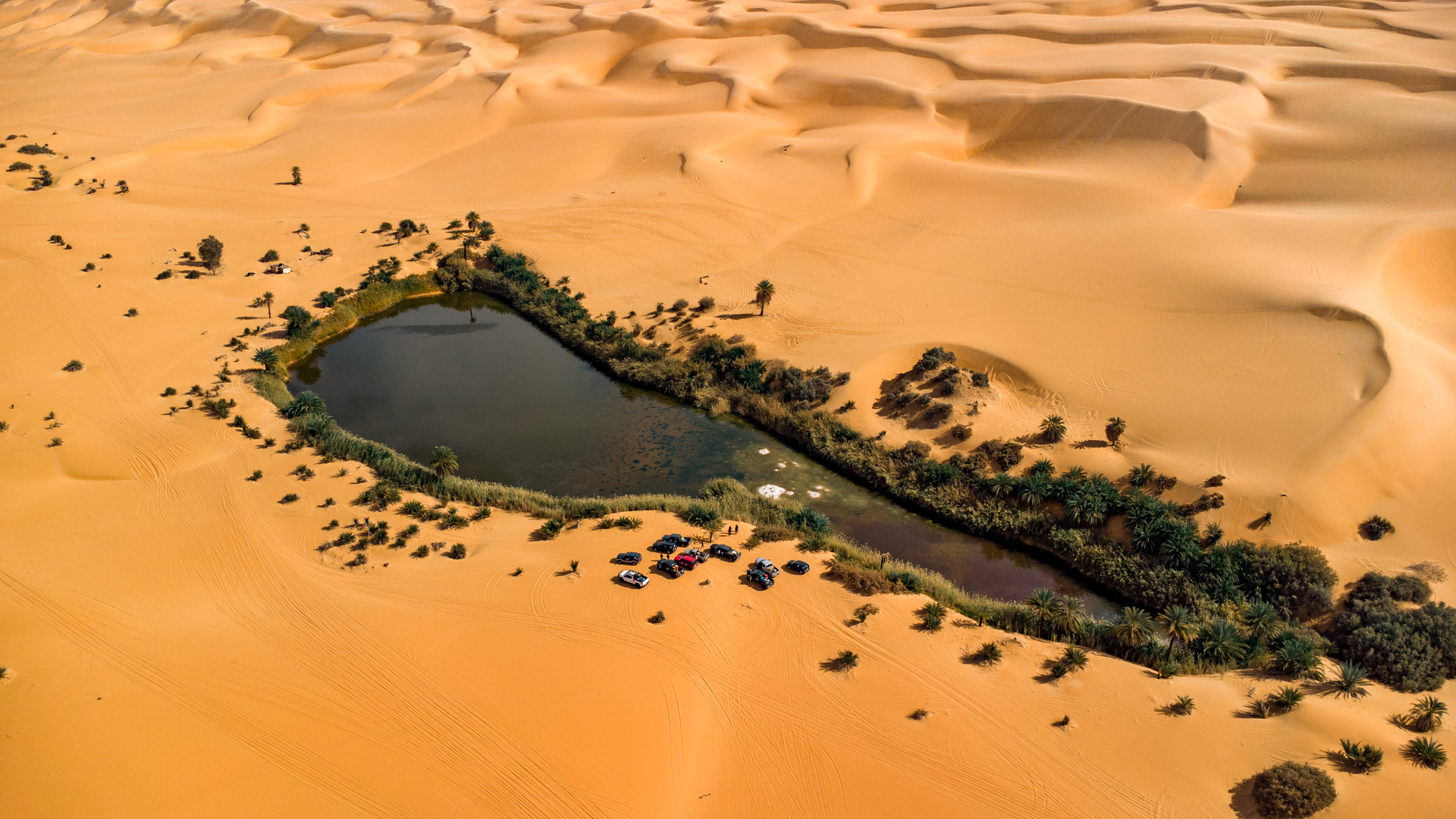 Landscapes of Chad, desert oasis