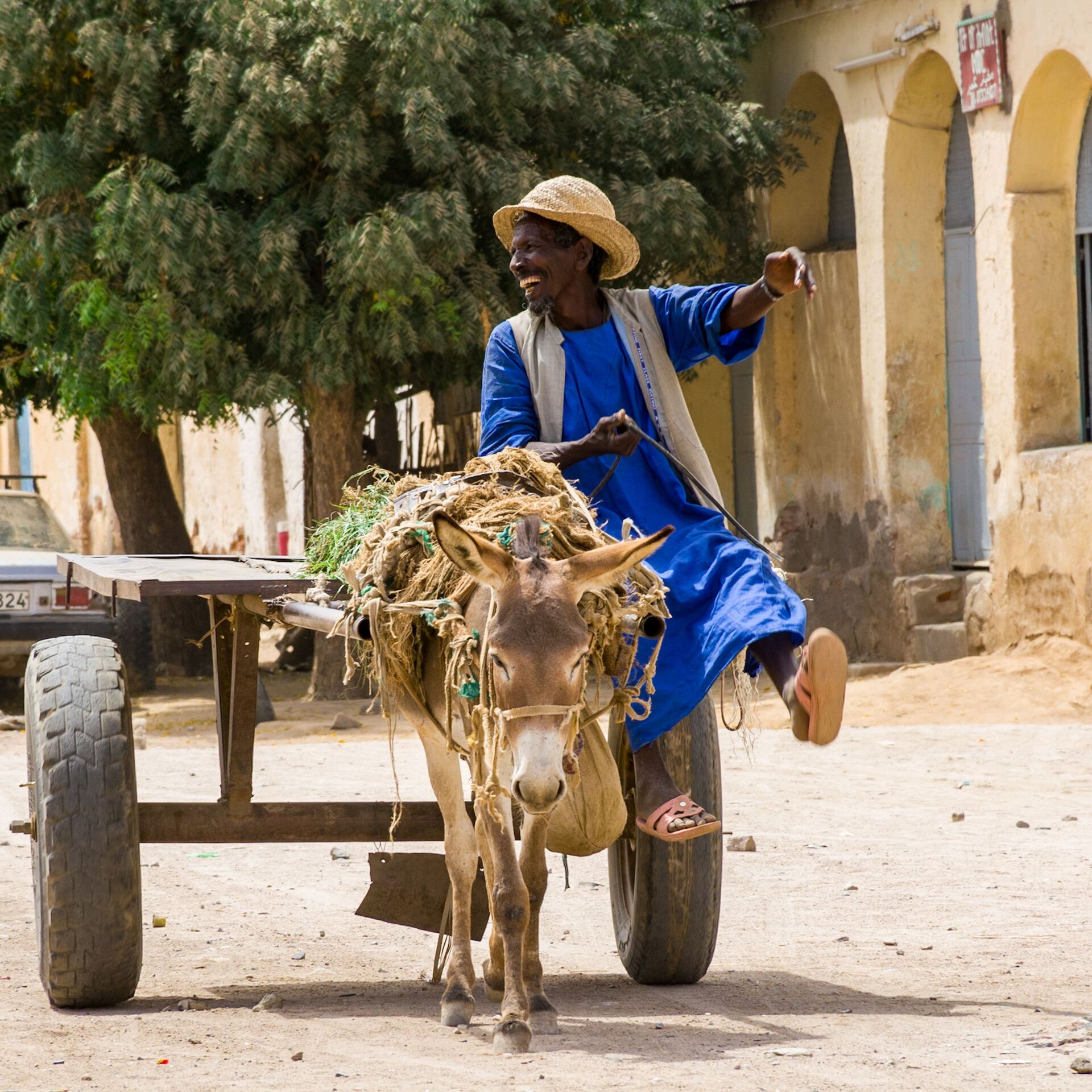 Eritrea, a manwith a donkey